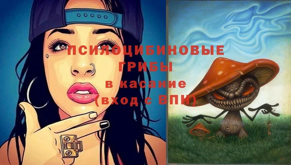 2c-b Мегион