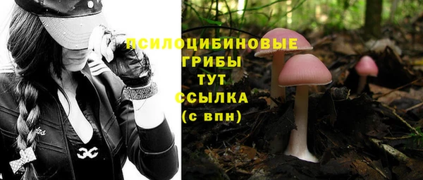 MDMA Premium VHQ Медногорск