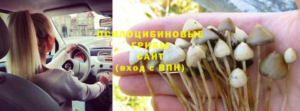 мяу мяу мука Чегем