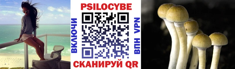MEGA ТОР  Михайловск  Галлюциногенные грибы мухоморы 