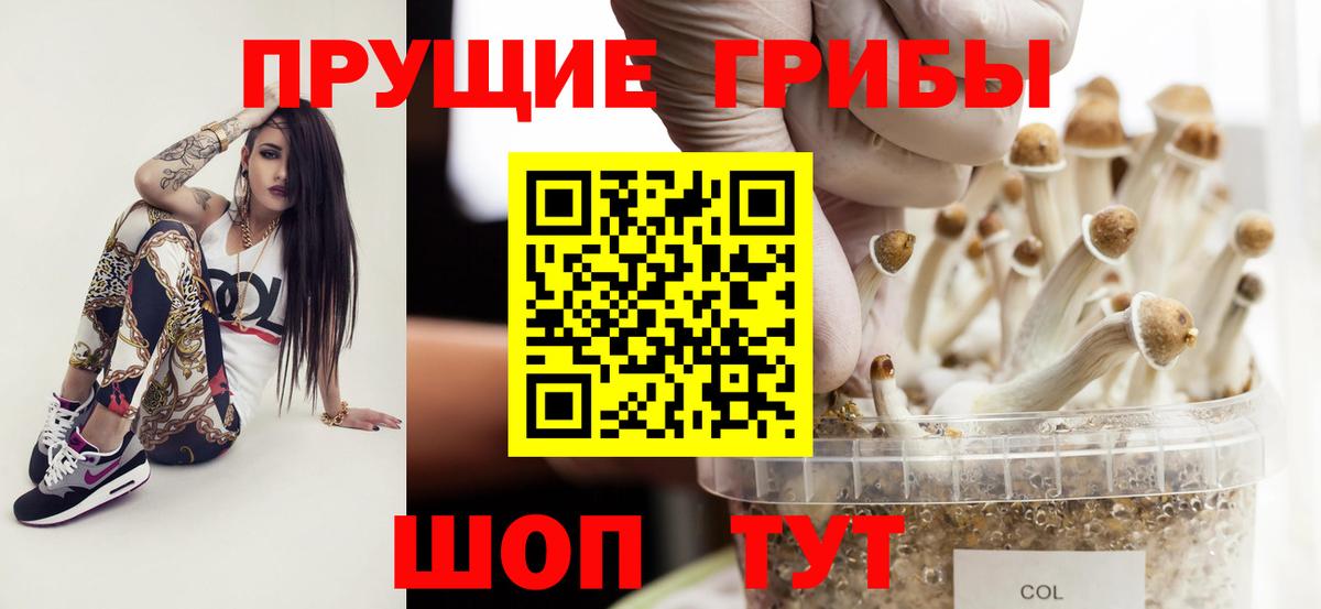Псилоцибиновые грибы прущие грибы Михайловск