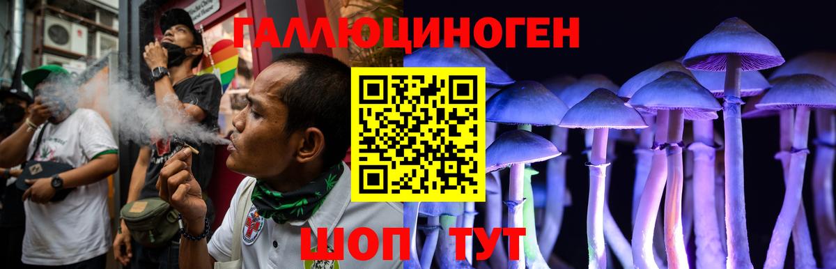 Михайловск  где найти наркотики  Вход с VPN  Галлюциногенные грибы ЛСД 