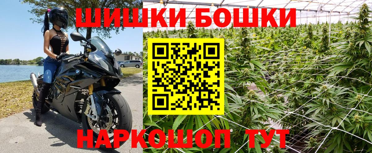 Бошки Шишки планчик Михайловск