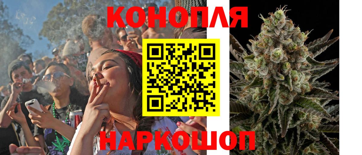 Каннабис план Михайловск